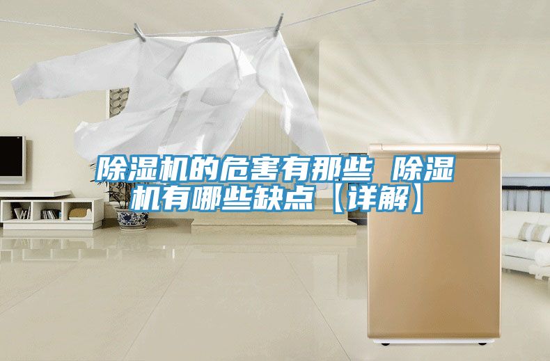 亚洲欧美一级特黄大片 除湿机的危害有那些 除湿机有哪些缺点【详解】