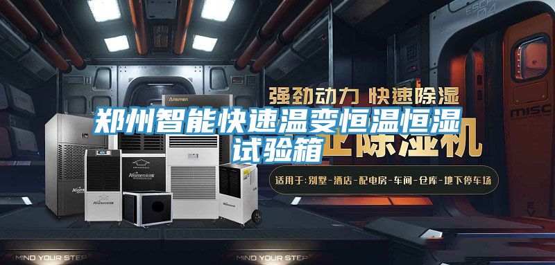 亚洲乱码一区二区三区 郑州智能快速温变恒温恒湿试验箱