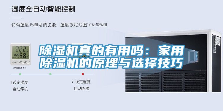 亚洲人成综合第一网站 除湿机真的有用吗：家用除湿机的原理与选择技巧