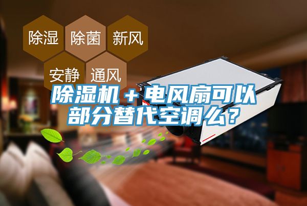 亚洲欧美一级特黄大片 除湿机＋电风扇可以部分替代空调么？