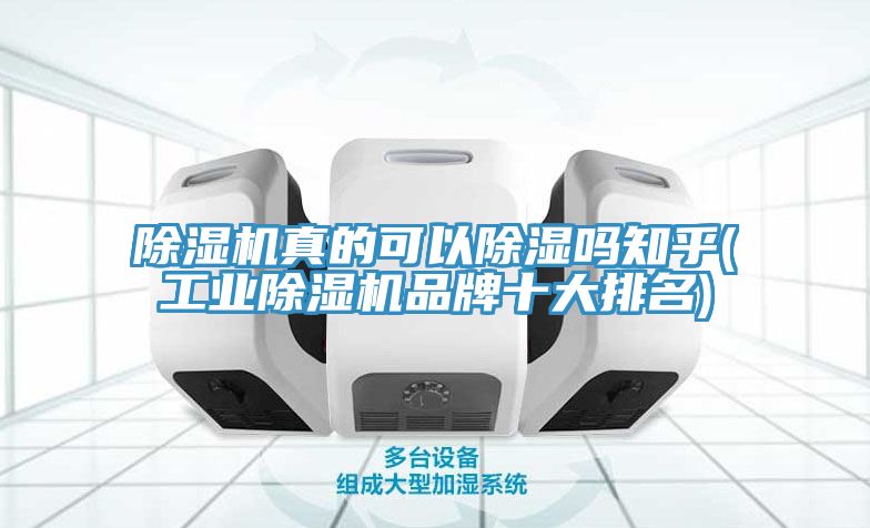 亚洲欧美一级特黄大片 除湿机真的可以除湿吗知乎(工业除湿机品牌十大排名)