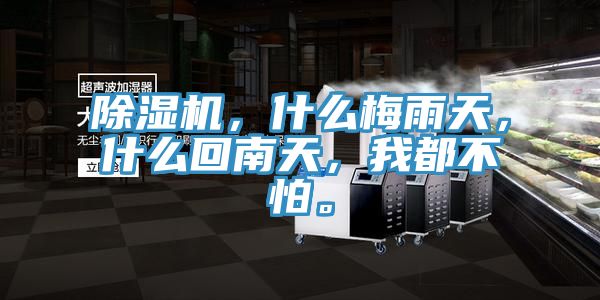 亚洲欧美一级特黄大片 除湿机，什么梅雨天，什么回南天，我都不怕。
