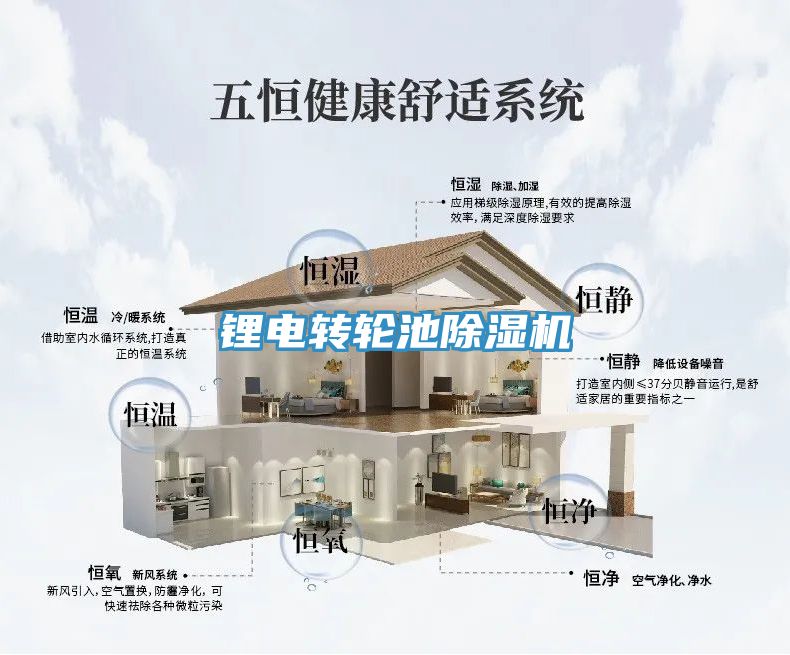 亚洲人成综合第一网站 锂电转轮池除湿机