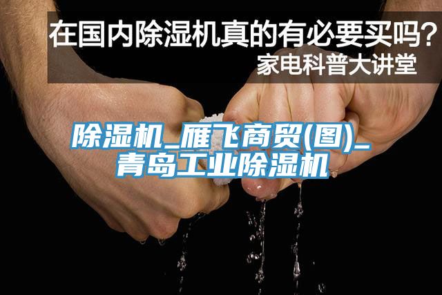 亚洲乱码一区二区三区 除湿机_雁飞商贸(图)_青岛工业除湿机