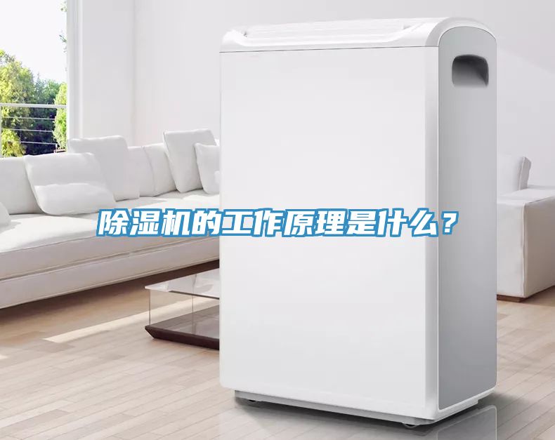 亚洲乱码一区二区三区 除湿机的工作原理是什么？