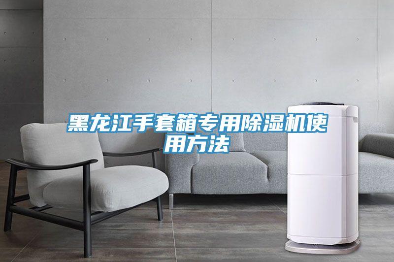 亚洲人成综合第一网站 黑龙江手套箱专用除湿机使用方法