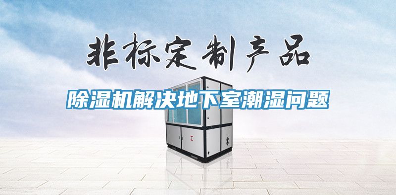 亚洲人成综合第一网站 除湿机解决地下室潮湿问题