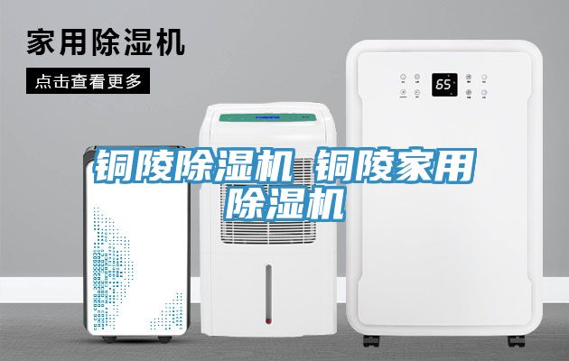 亚洲欧美一级特黄大片 铜陵除湿机◆铜陵家用除湿机