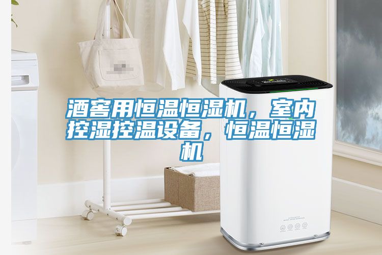 亚洲人成综合第一网站 酒窖用恒温恒湿机，室内控湿控温设备，恒温恒湿机