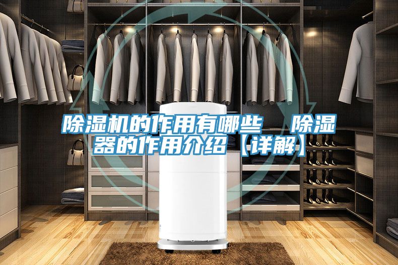 亚洲人成综合第一网站 除湿机的作用有哪些  除湿器的作用介绍【详解】