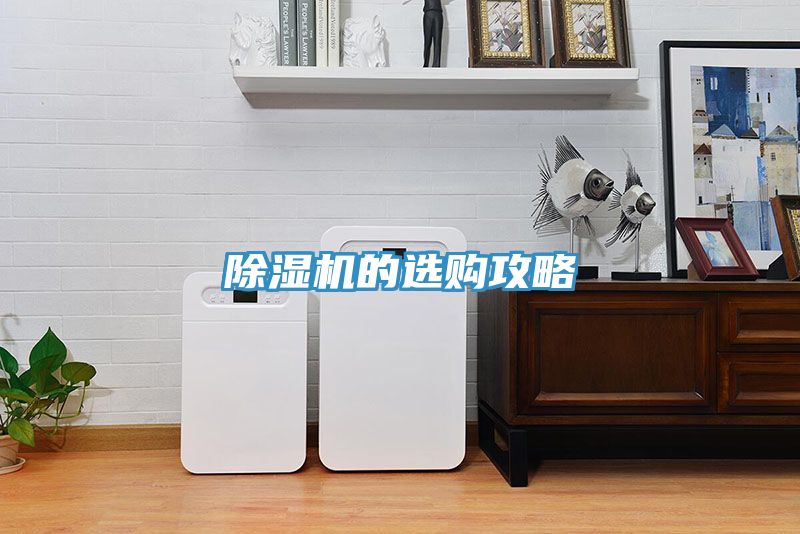 亚洲欧美一级特黄大片 除湿机的选购攻略