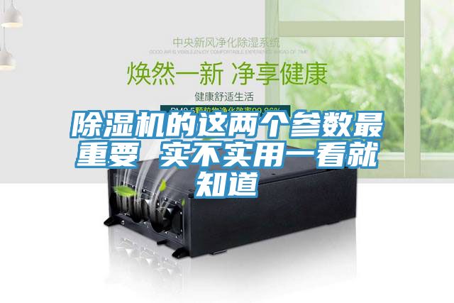 亚洲欧美一级特黄大片 除湿机的这两个参数最重要 实不实用一看就知道