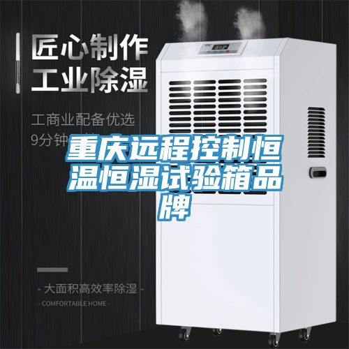 亚洲乱码一区二区三区 重庆远程控制恒温恒湿试验箱品牌