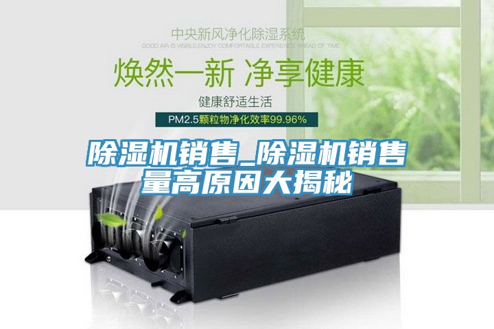 亚洲人成综合第一网站 除湿机销售_除湿机销售量高原因大揭秘