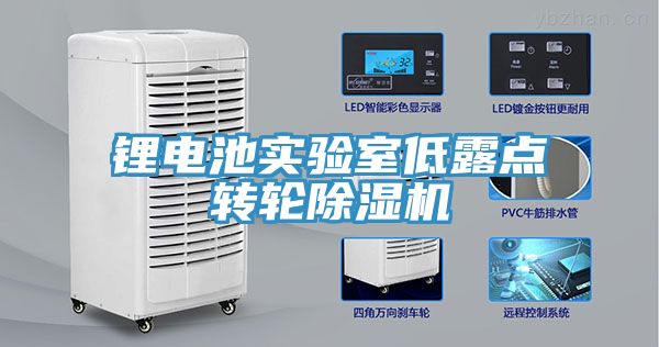 亚洲欧美一级特黄大片 锂电池实验室低露点转轮除湿机
