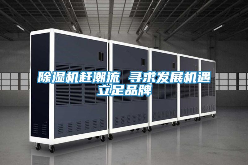 亚洲乱码一区二区三区 除湿机赶潮流 寻求发展机遇立足品牌