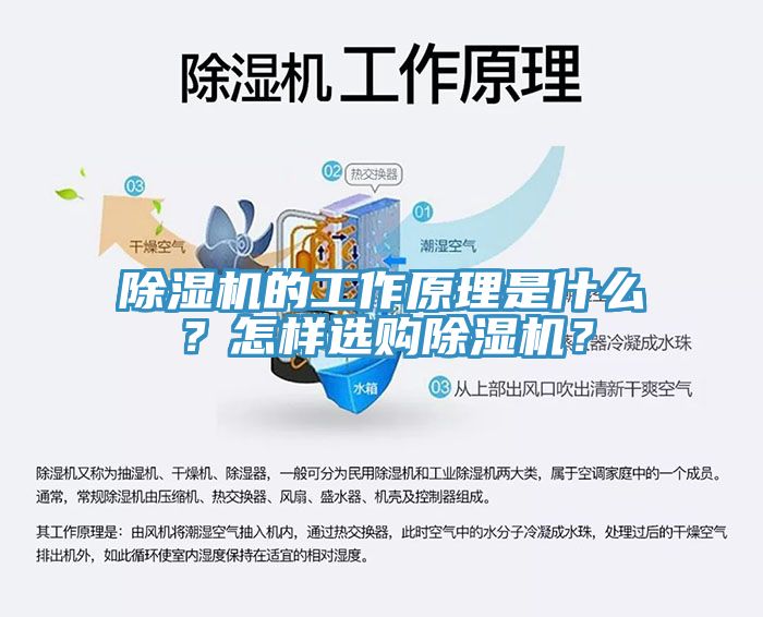 亚洲乱码一区二区三区 除湿机的工作原理是什么？怎样选购除湿机？