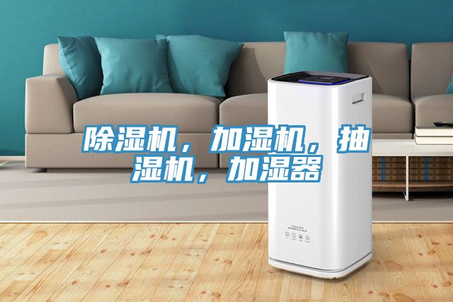 亚洲欧美一级特黄大片 除湿机，加湿机，抽湿机，加湿器