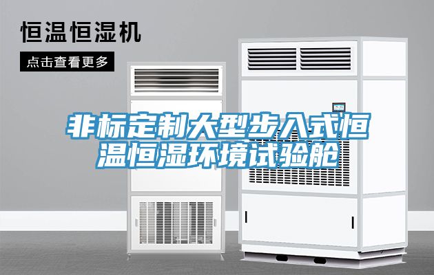 亚洲乱码一区二区三区 非标定制大型步入式恒温恒湿环境试验舱