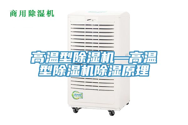 亚洲人成综合第一网站 高温型除湿机—高温型除湿机除湿原理