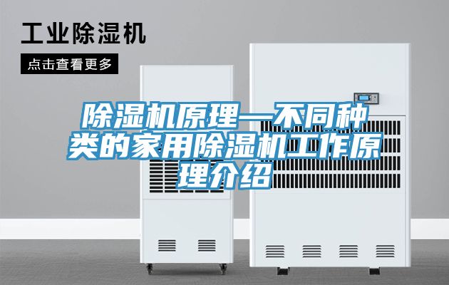 亚洲欧美一级特黄大片 除湿机原理—不同种类的家用除湿机工作原理介绍