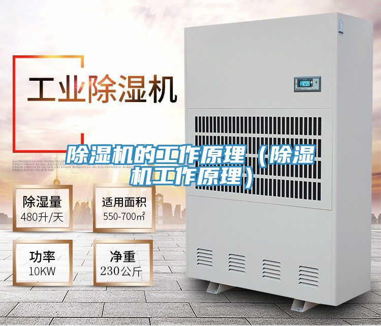 亚洲乱码一区二区三区 除湿机的工作原理（除湿机工作原理）