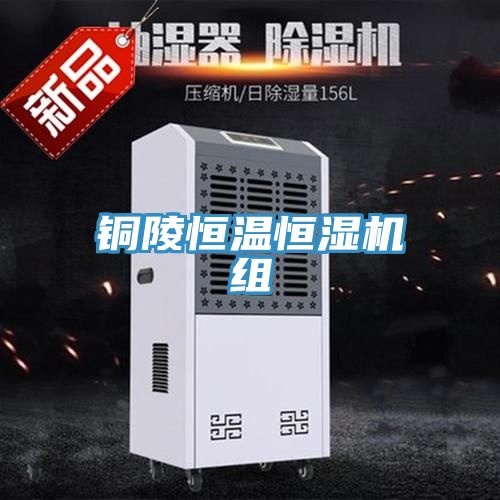 亚洲欧美一级特黄大片 铜陵恒温恒湿机组