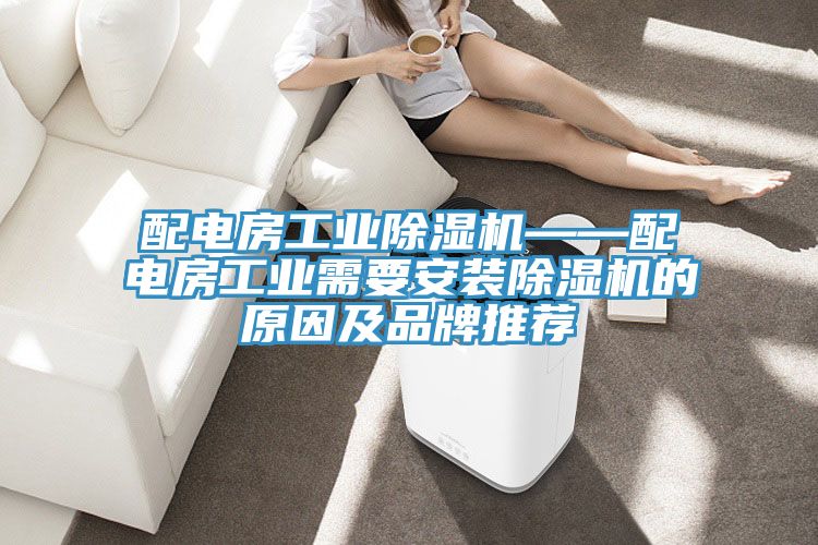 亚洲人成综合第一网站 配电房工业除湿机——配电房工业需要安装除湿机的原因及品牌推荐