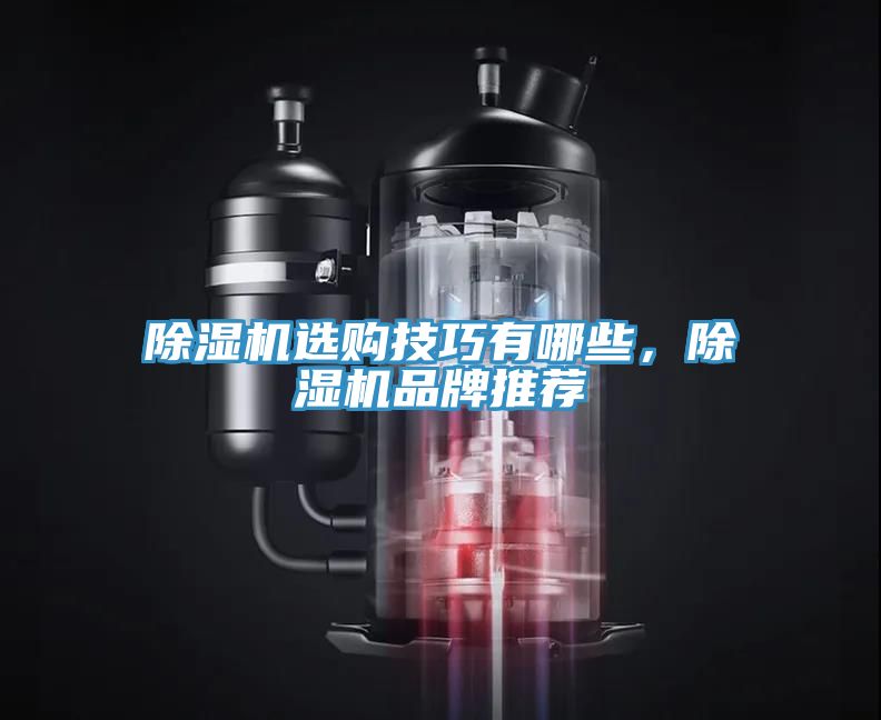 亚洲欧美一级特黄大片 除湿机选购技巧有哪些，除湿机品牌推荐
