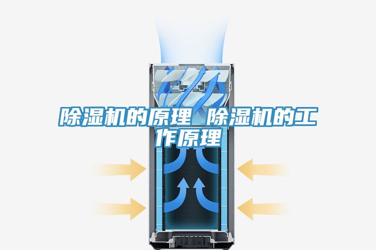 亚洲人成综合第一网站 除湿机的原理 除湿机的工作原理