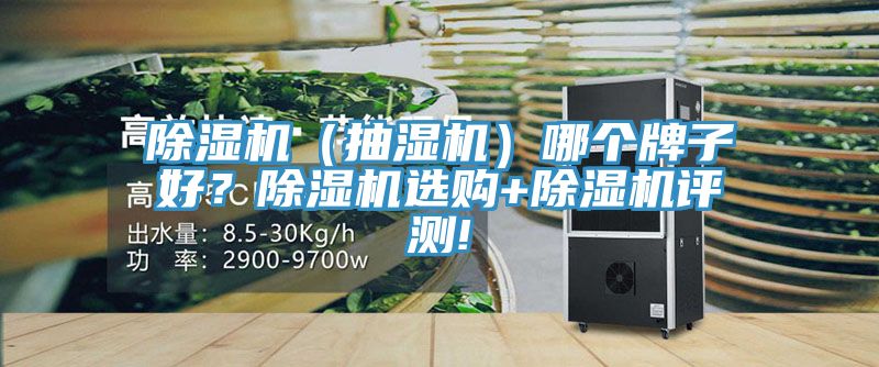 亚洲乱码一区二区三区 除湿机（抽湿机）哪个牌子好？除湿机选购+除湿机评测!