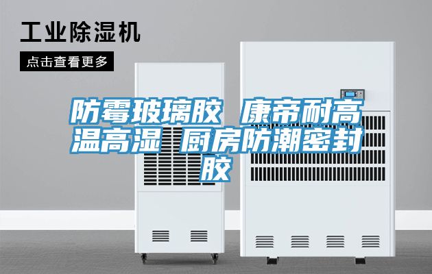 亚洲欧美一级特黄大片 防霉玻璃胶 康帝耐高温高湿 厨房防潮密封胶
