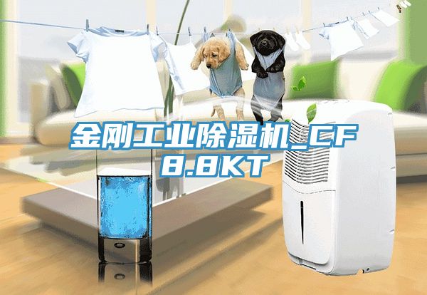 亚洲人成综合第一网站 金刚工业除湿机_CF8.8KT