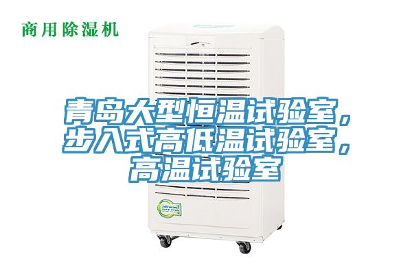 亚洲欧美一级特黄大片 青岛大型恒温试验室，步入式高低温试验室，高温试验室