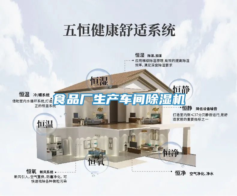 亚洲欧美一级特黄大片 食品厂生产车间除湿机