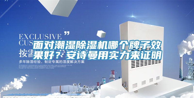 亚洲乱码一区二区三区 面对潮湿除湿机哪个牌子效果好？安诗曼用实力来证明