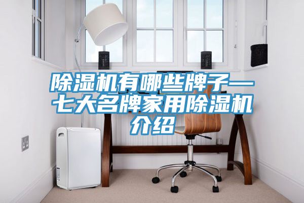 亚洲人成综合第一网站 除湿机有哪些牌子—七大名牌家用除湿机介绍