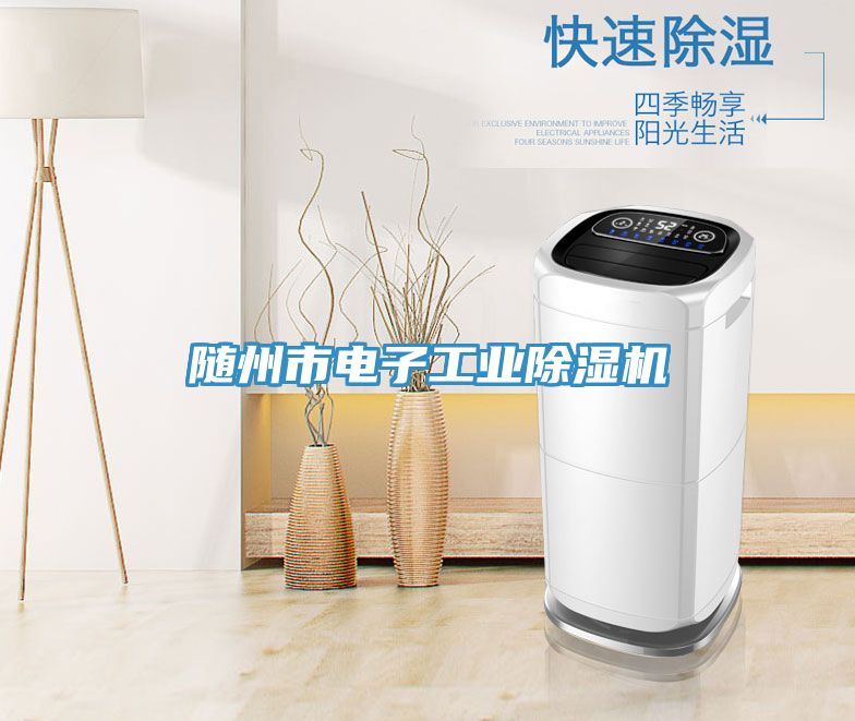 亚洲人成综合第一网站 随州市电子工业除湿机