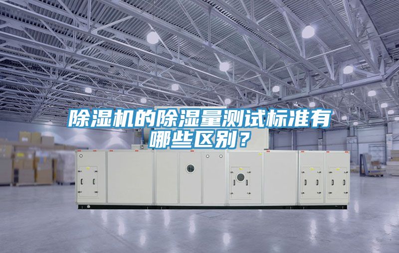 亚洲人成综合第一网站 除湿机的除湿量测试标准有哪些区别？