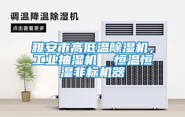 亚洲人成综合第一网站 雅安市高低温除湿机，工业抽湿机  恒温恒湿非标机器