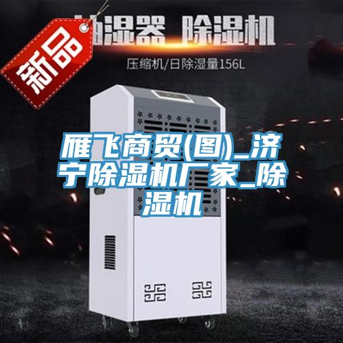 亚洲人成综合第一网站 雁飞商贸(图)_济宁除湿机厂家_除湿机