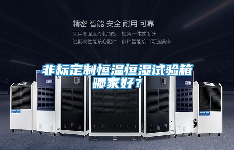 亚洲人成综合第一网站 非标定制恒温恒湿试验箱哪家好？