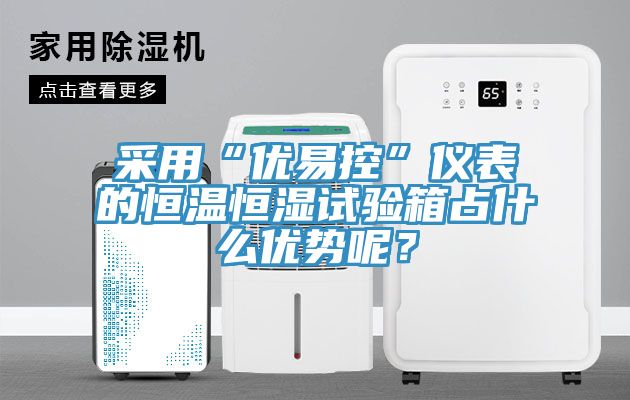 亚洲乱码一区二区三区 采用“优易控”仪表的恒温恒湿试验箱占什么优势呢？