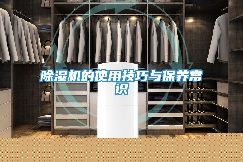 亚洲欧美一级特黄大片 除湿机的使用技巧与保养常识