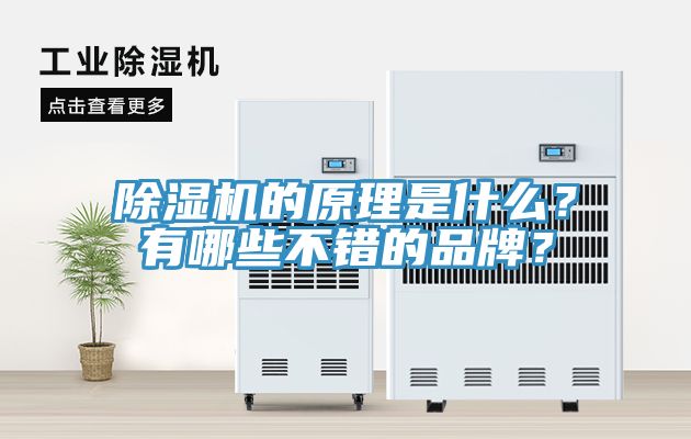 亚洲人成综合第一网站 除湿机的原理是什么？有哪些不错的品牌？