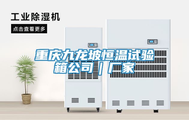 亚洲乱码一区二区三区 重庆九龙坡恒温试验箱公司｜厂家