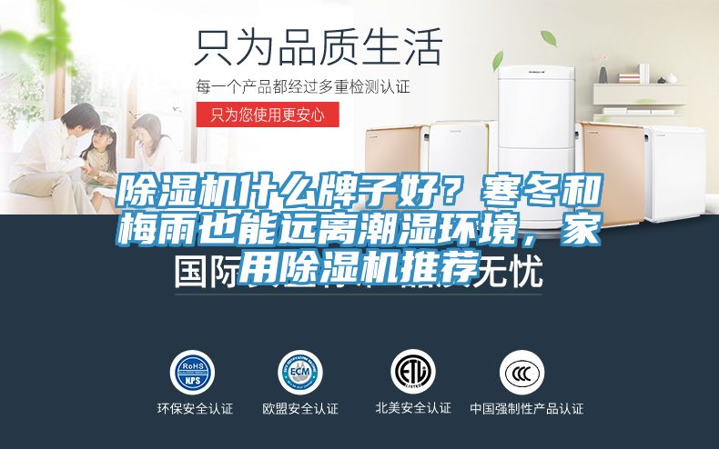 亚洲欧美一级特黄大片 除湿机什么牌子好？寒冬和梅雨也能远离潮湿环境，家用除湿机推荐