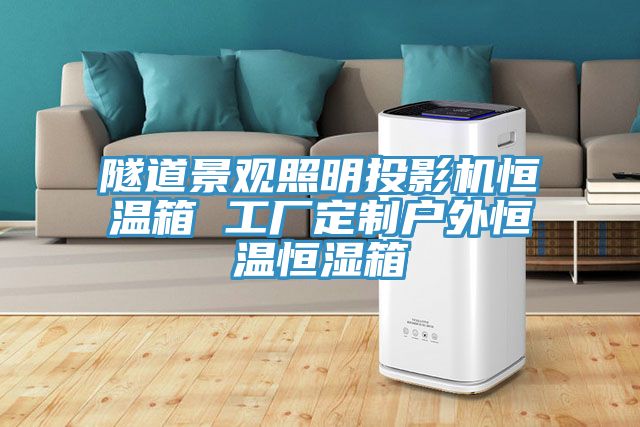 亚洲欧美一级特黄大片 隧道景观照明投影机恒温箱 工厂定制户外恒温恒湿箱