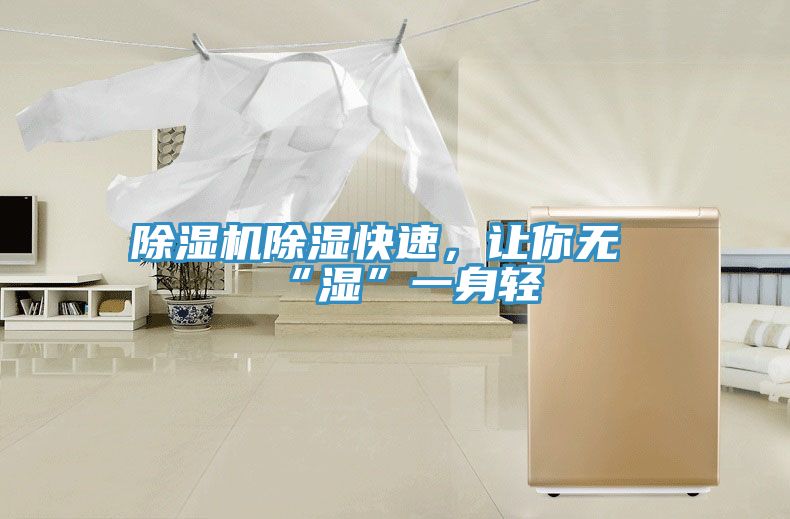 亚洲人成综合第一网站 除湿机除湿快速，让你无“湿”一身轻