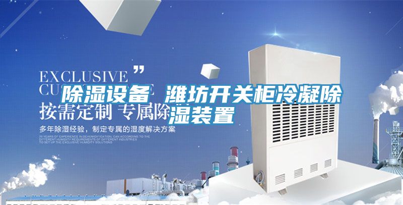 亚洲欧美一级特黄大片 除湿设备 潍坊开关柜冷凝除湿装置